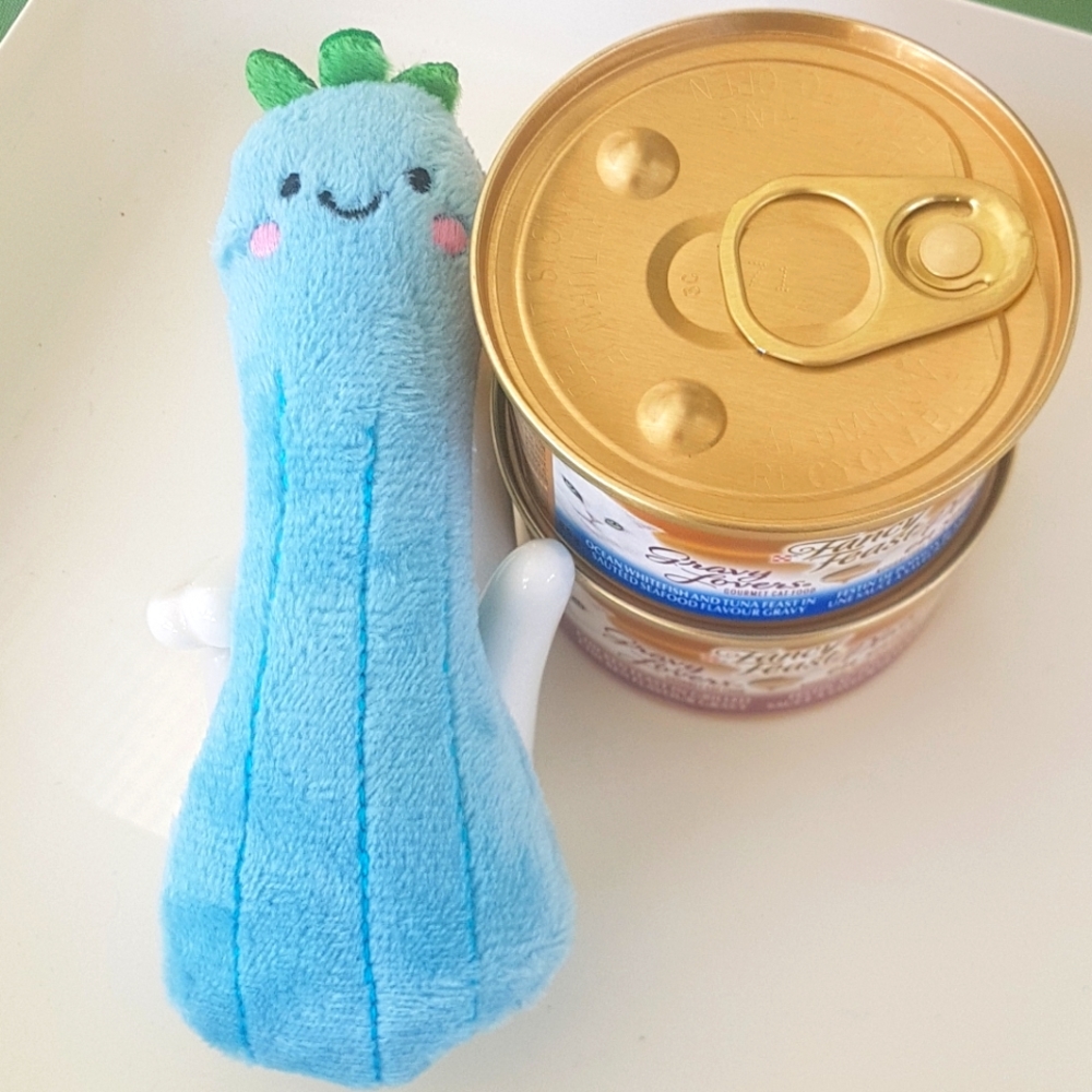 🐱 Luffa Cat Toy & Wet Food